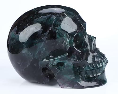 5.0" Fluorite Crystal Skull (5.0 Inches Fluorite 1)