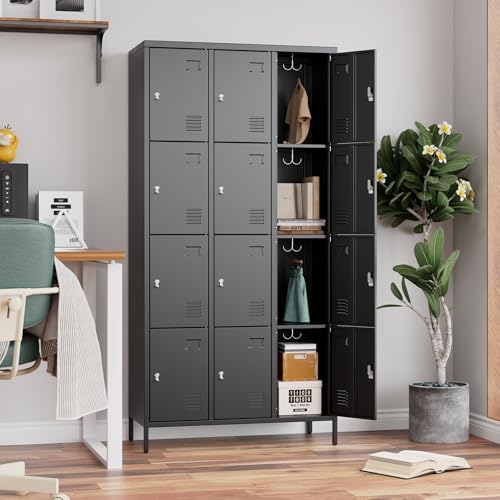 12 Door Metal Locker for Employees (Black / 12 Doors)