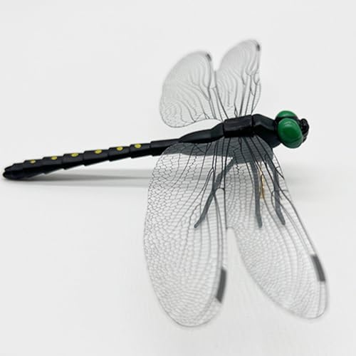 10 Pcs Black Dragon Fly Clips (10 Pcs Black)
