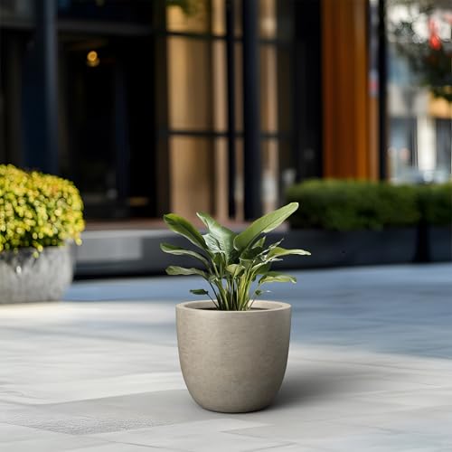 Modern Home Minimalist 14" Dia Weathered Concrete Bowl Planter (Weathered Concrete / 14-Inch Dia)