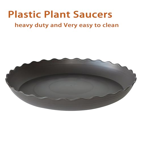 6 Pack of 6 inch Plant Saucer Plant Tray (6" (6 pack) / Brown)