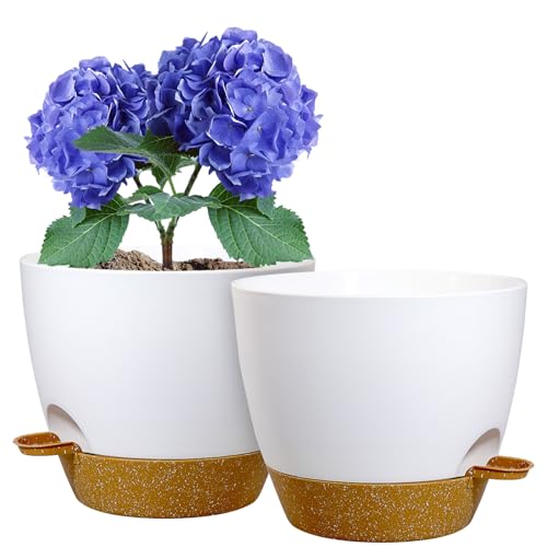 8 inch Self Watering Pots (2 Count)
