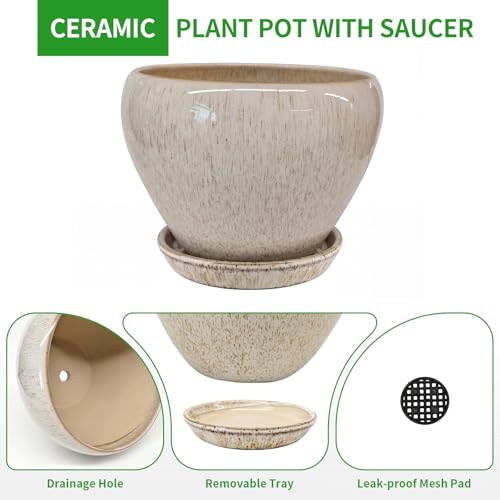 6 Inch Plant Pots (Beige / 6 Inch)