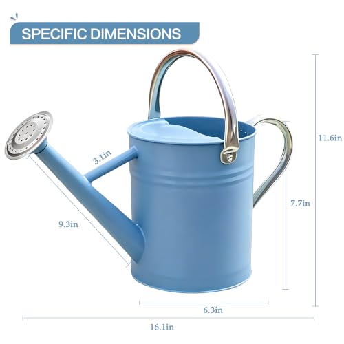 Metal Watering Can for Outdoor and Indoor Plants (Blue)