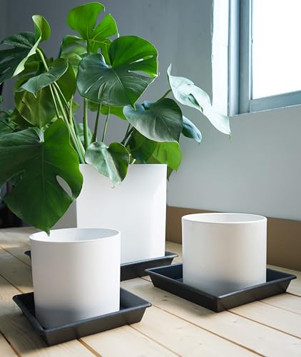 Square Plant Saucer 5 Pack 8 10 12 14 16 18 20 Inch (5 Count)