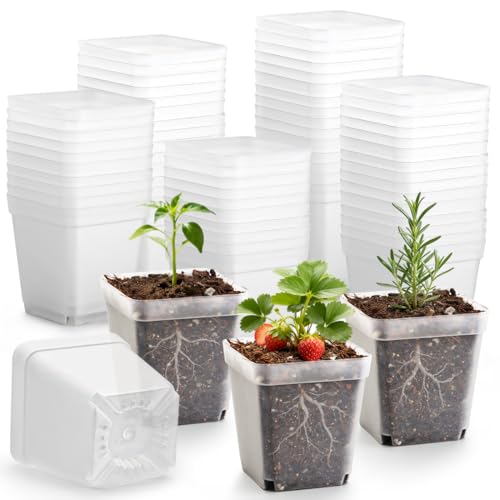 120 Packs Square Clear Nursery Pots with Drainage (Clear / 2.7" 120P)