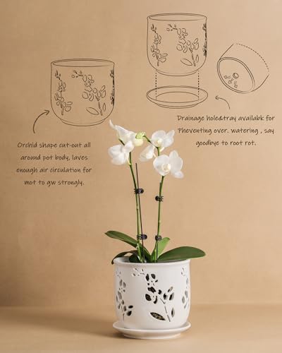 Orchid Pot 6.5 inch Large Orchid Pots with Holes for Healthy Growth and Easy Repotting (White)