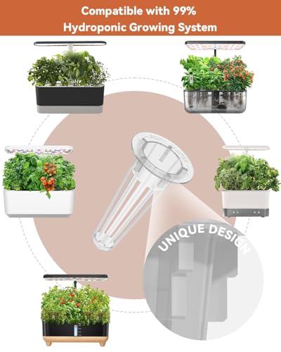 Veggies Seeds Pod Kit Compatible with AeroGarden Hydroponic Growing System (8-pods / Veggies)