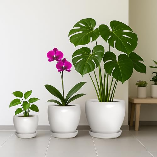 10 Inch Plant Pot