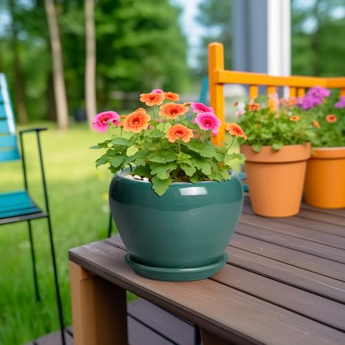 Indoor Plant Pot 6 Inch (6 Inch / Green)