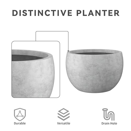 Accent Round Bowl Pale Gray Concrete Planter 15.7" Dia (Natural Concrete / 15.7" d)