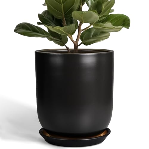 Ceramic Planter 10 Inch