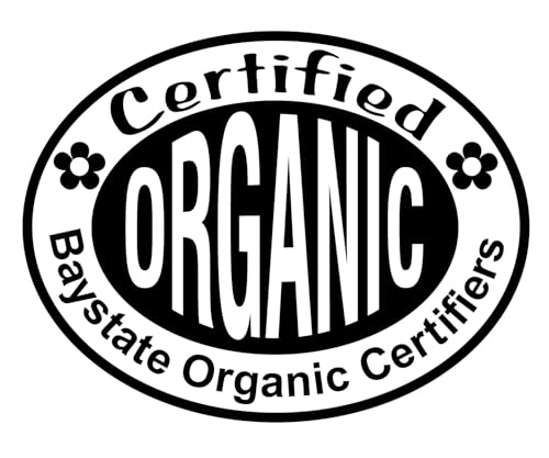 Organic Chocolate Mint Live Plant