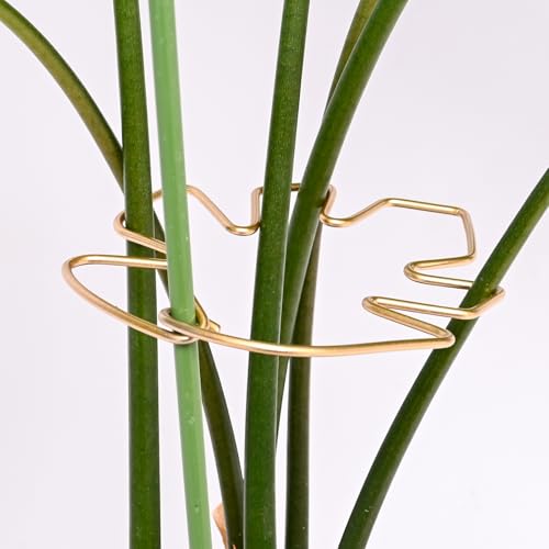 5PCS Monstera Stem Support Stake with Clip (5 Count)