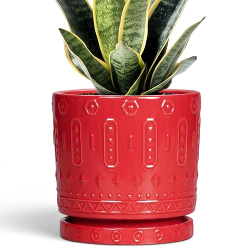 6 Inch Plant Pot (6 Inch / Red)