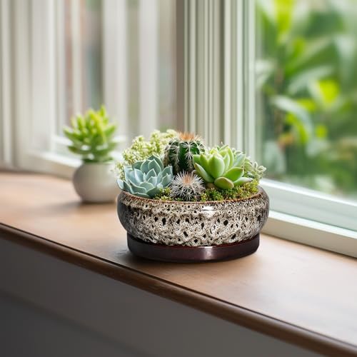 Succulent Planter 6 Inch (6 Inch / Leopard Brown-white)