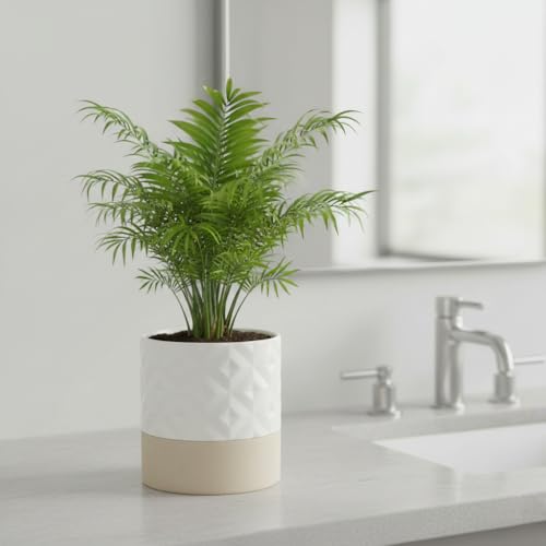 Ceramic Self Watering Plant Pot for Indoor Plants (Matte White & Brown Star / 6" Self Watering)