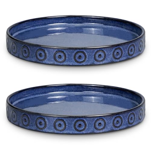 2 Pack 5.6 Inch Flower Pot Saucers (5.6 Inch (2 Pack) / Blue)