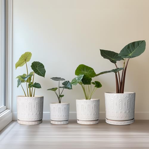 Ceramic Planter (6 Inch / White - 2)