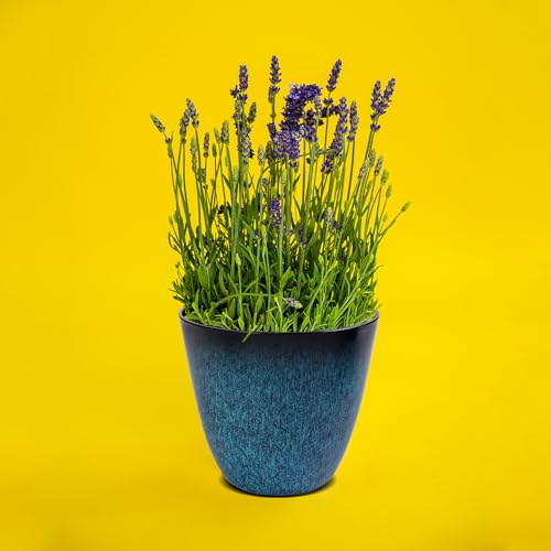 3Pack Plant Pots Durable Decorative Flower Pots (3 Count)