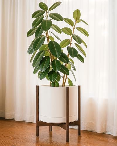 Ceramic Pot with Walnut Wood Stand (14 Inch / Oatmeal Pot + Walnut Color Stand)