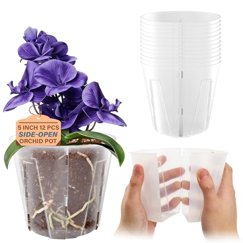 5 Inch Side Open Orchid Pots 12 Pack (5 Inch-12Pcs)
