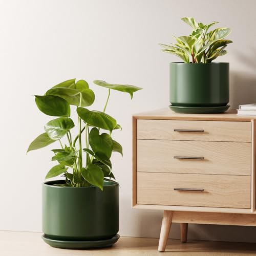 Ceramic Plant Pots (Forest Green / 8"+10")