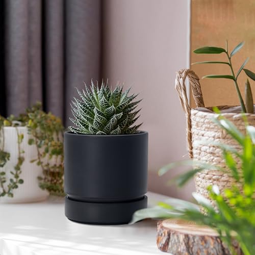 4 Inch Planter Pot with Drainage Hole & Saucer (6 Count)