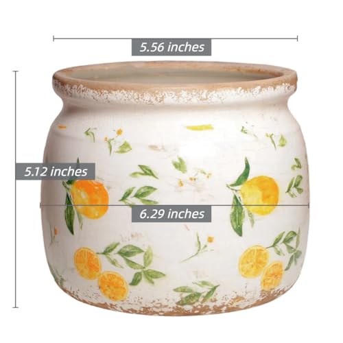 Lemon Ceramic Planter (Lemon / 6.3 in)