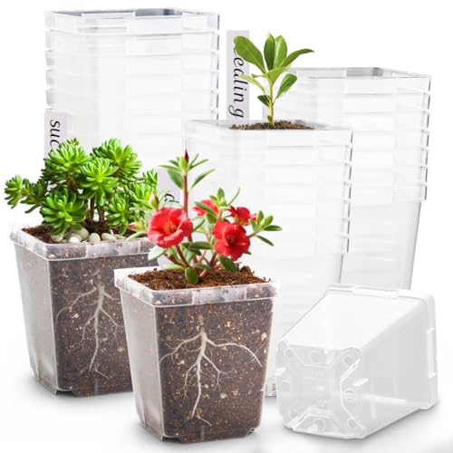 3.3 Inch Clear Nursery Pots with Drainage (Clear Pot+labels / 3.3Inch)