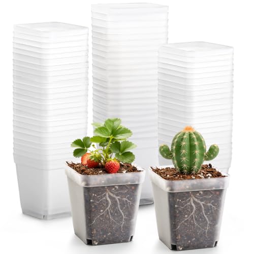 2.7 Inch Square Nursery Pots (Clear Pot+domes / 2.7" 60P)