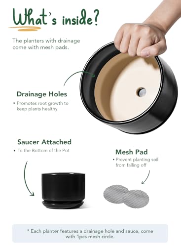 6.8 Inch Ceramic Pots for Plants (Black / 6.8")