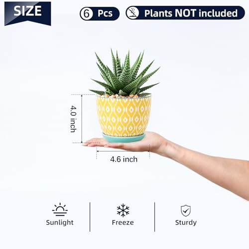 Ceramic Succulent Pots (Assorted Colors / 4.6 Inch, Set of 6)