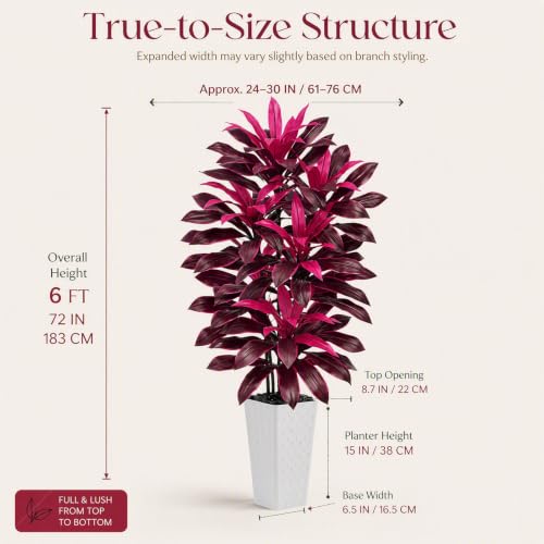 Artificial Dracaena Tree (Magenta – White Pot / 6FT)