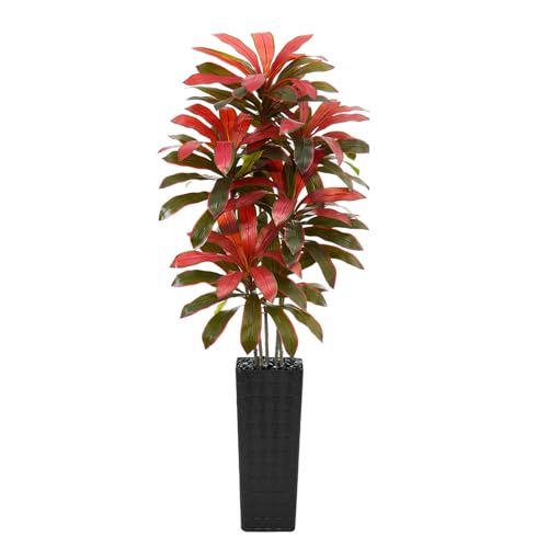 Artificial Dracaena Tree (Burgundy – Black Pot / 7FT)