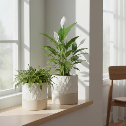 Ceramic Self Watering Plant Pot for Indoor Plants (Cream White & Brown Net / 4.5"+6" Self Watering)
