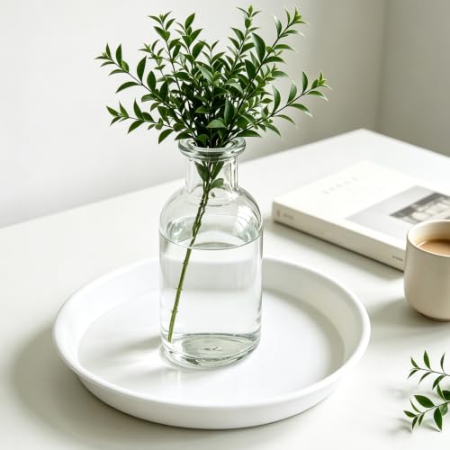 3 Pack Plant Saucer Heavy Duty Sturdy Drip Trays for Indoor and Outdoor (White / 10 inch)