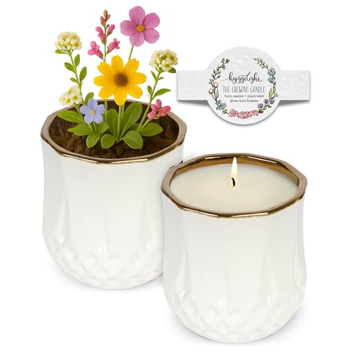 The Growing Candle (Astrid)
