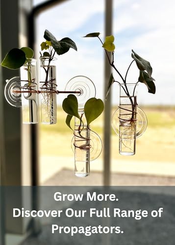The Little Window Propagator (2 Count)