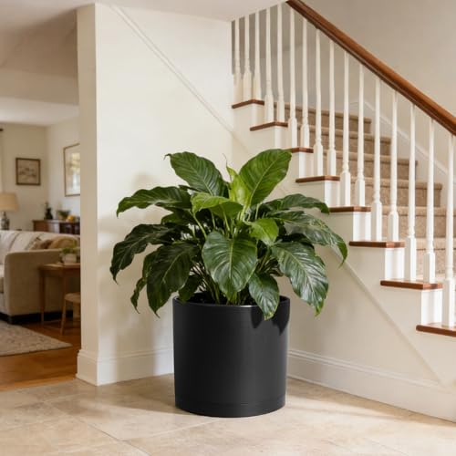 14 Inch Heavy (Black / 14 Inch Large)