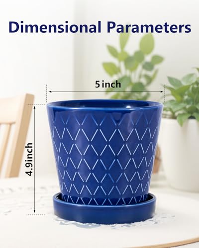 Ceramic Plant Pots