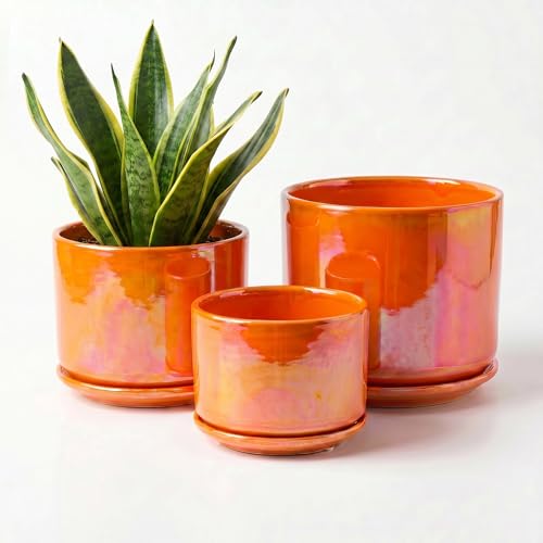 Ceramic Plant Pots (Orange)