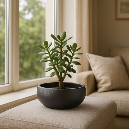 Lotus Bowl Planter (Black)