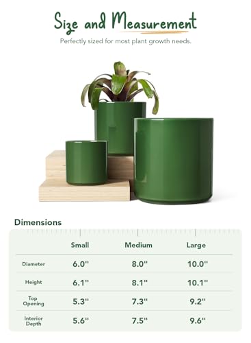 10+8+6 Inch Ceramic Pots for Plants (Bamboo Green)