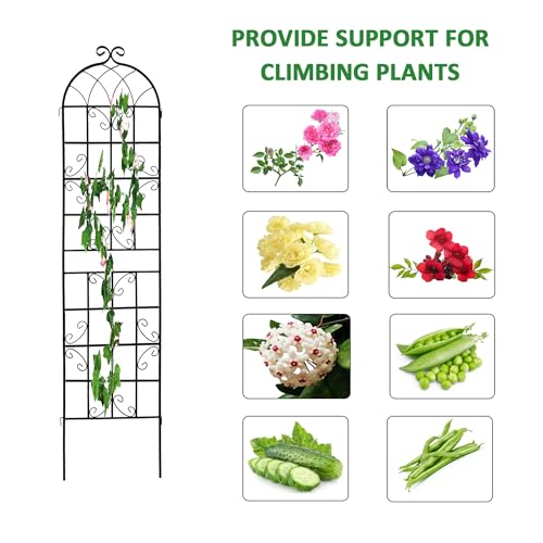 8 Pack Metal Garden Trellis for Climbing Plants (Black D-71"H)