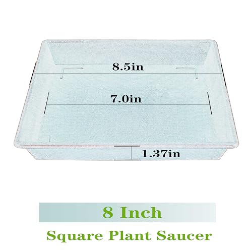 Square Plant Saucer 8 Inch 5 Pack (8"-5Pack / Red)