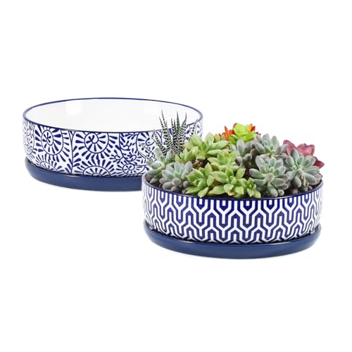 Ceramic Succulent Pots (Vintage Blue / 8 inch)