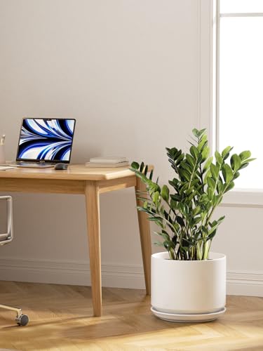 12 Inch Pots for Plants (White / 12")