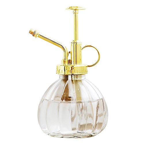 Glass Plant Mister Spray Bottle