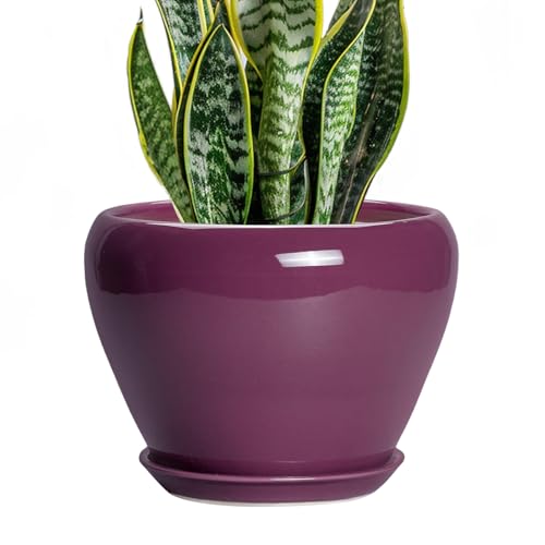 Ceramic Planter (8 Inch / Purple)